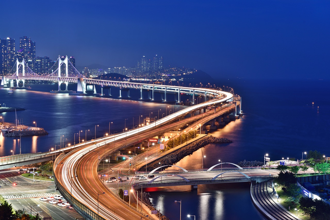 2024년 제29회 부산국제영화제